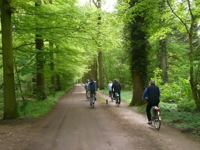 HWK 2010 031.jpg